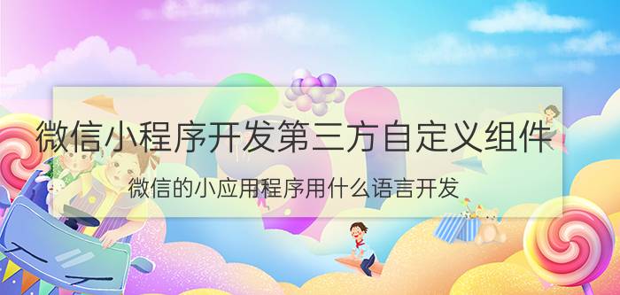 微信小程序开发第三方自定义组件 微信的小应用程序用什么语言开发？